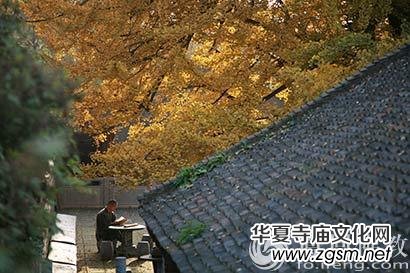 ��ΌW(xu��)������湦����