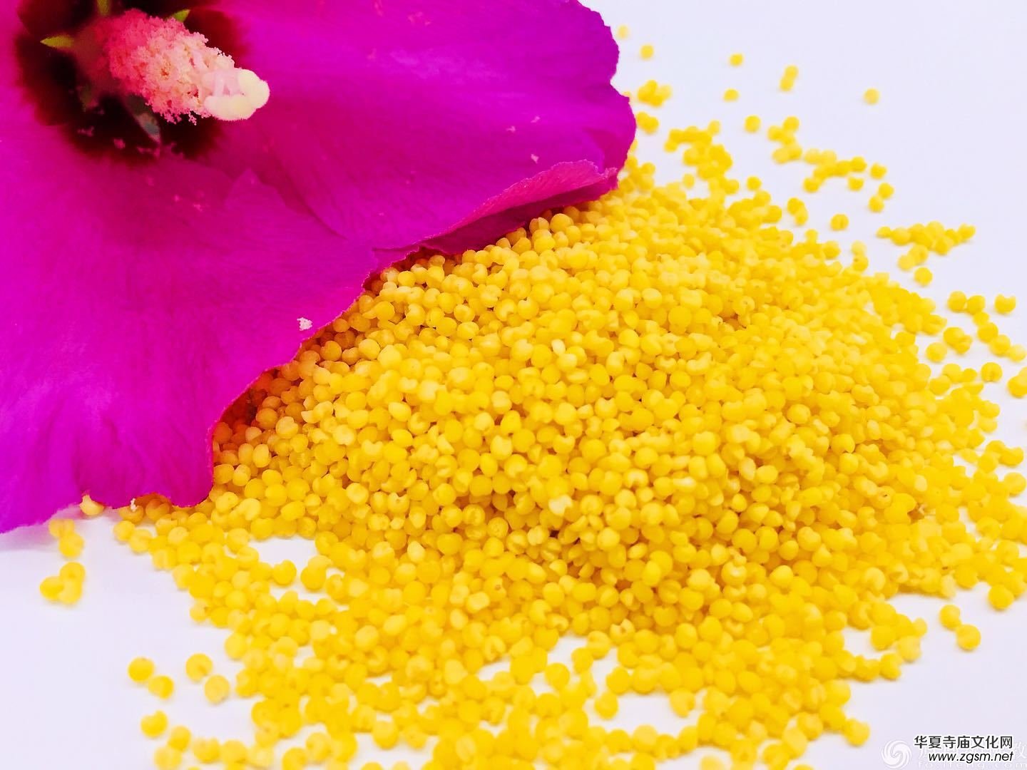 ��ʳ������s�Z����õ��aˎ