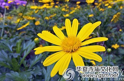 �ճ������О���̎�� ӛס�@�ľ�Ԓ