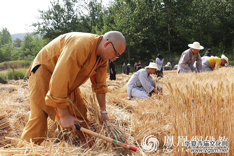 ����һ���S�ռ�����ɽ������ɮ���]��ո�С��