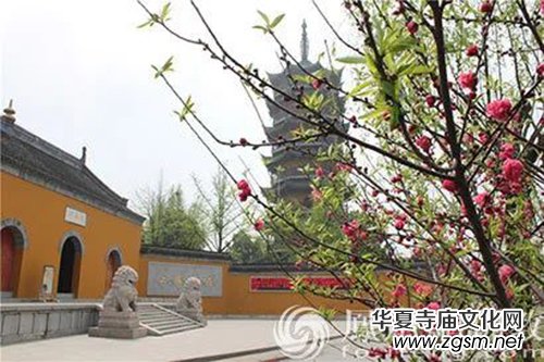 һλ�������o�߿��W(xu��)�ӵ������ܶ��˺�ڛ]���c(di��n)����