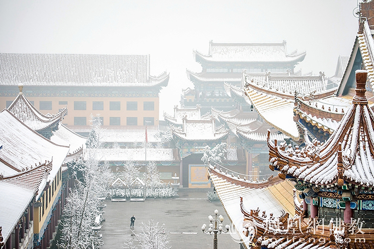 �������D��ѩ��Ĳ�ɽ���X(ju��)�¸����f��(y��n)