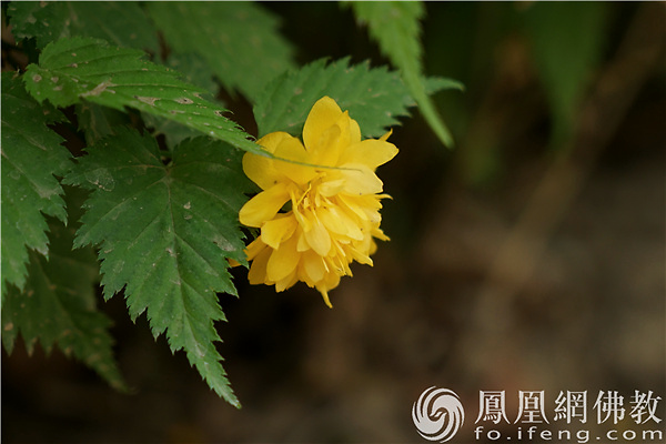 �޶U���_���һ��(g��)��������Ҫ��(j��ng)�v������һ����