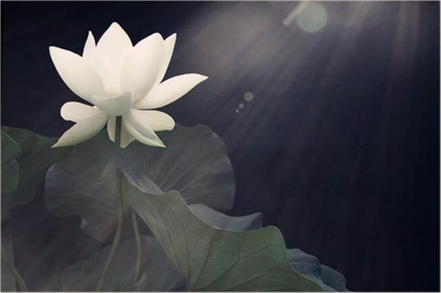 ̽�ر���30�㾕���� ������������c��ɏ��������