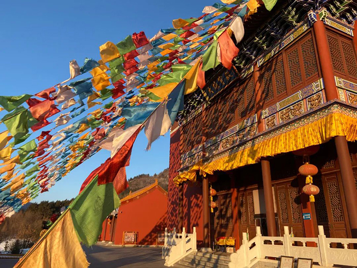 ��ɽ��Ă���ńx�����˾Ͳ�����