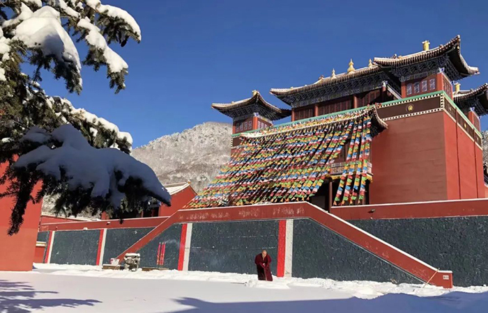 ��ɽ��Ă���ńx�����˾Ͳ�����