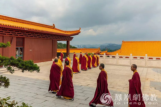 �������挍(sh��)�����������������wĽ��