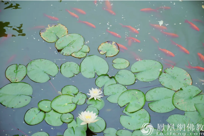 һ�жU������(d��)̎���Ǿܽ^��������(hu��)�����F(tu��n)Ҳ�����������e��