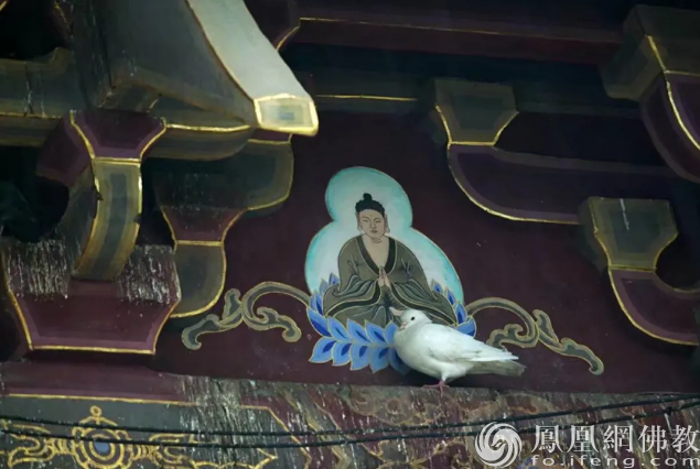 �����ɮ����8����������֪�R��������^��