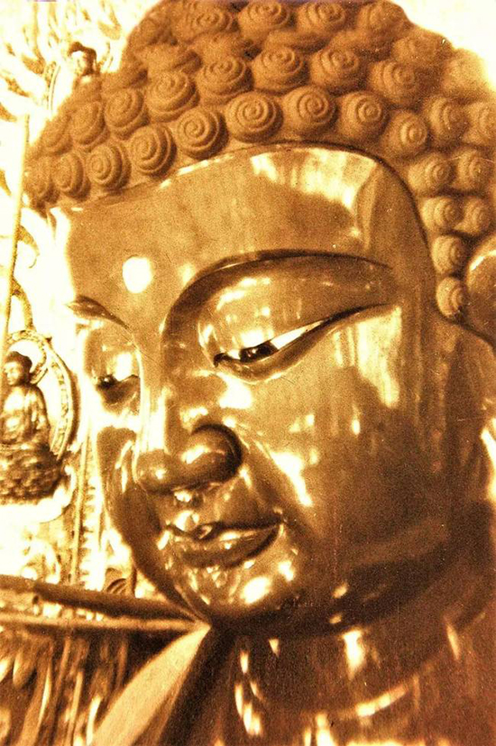 �`�[�´��ی���ć��\��λ