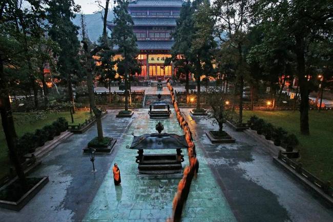 �`�[�´��ی���ć��\��λ