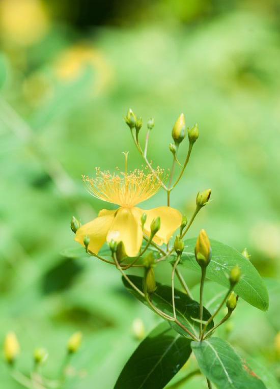 莫錯(cuò)過(guò)人間處處好時(shí)節(jié) 莫錯(cuò)過(guò)人間處處好時(shí)節(jié)