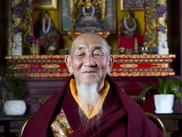 �����ώ�--��ľ��D������