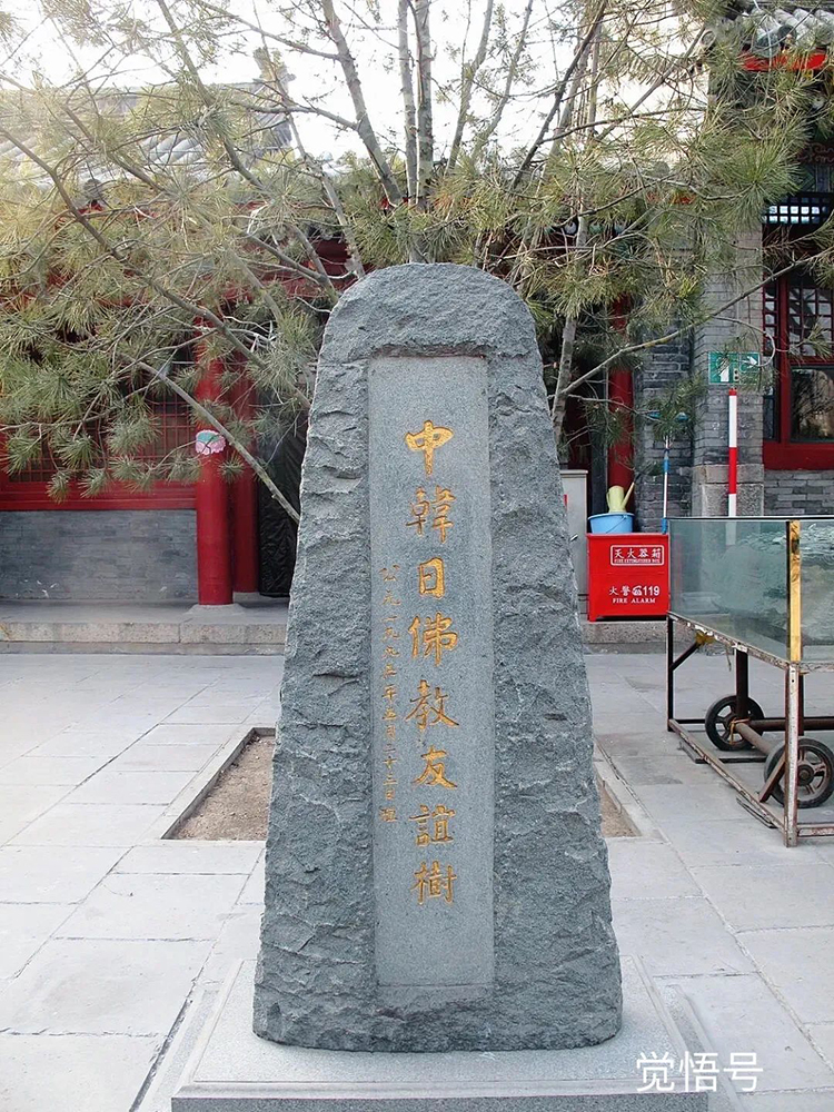 ���ǡ����x�������V��(j��)��