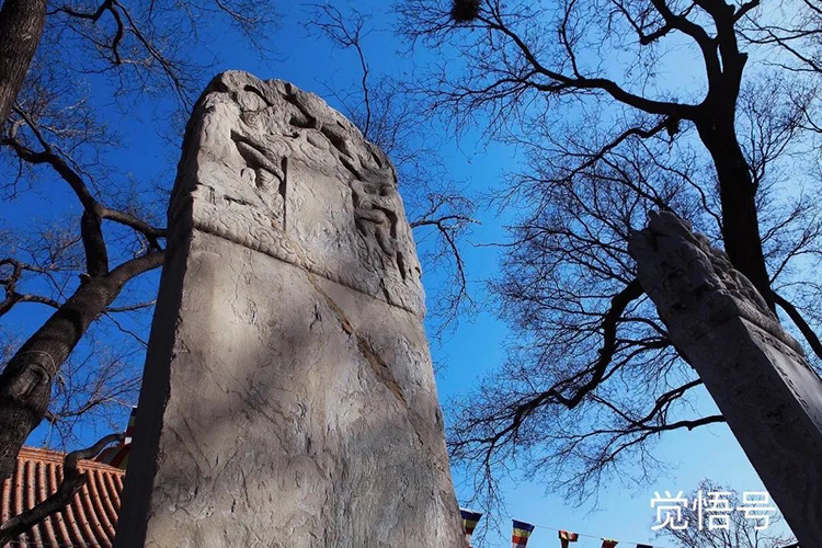 ���ǡ����x�������V��(j��)��