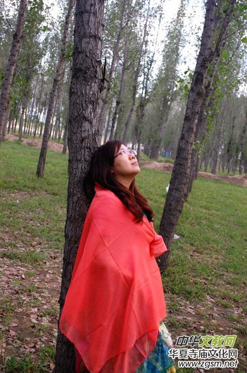 ����Ԋ(sh��)�~���p