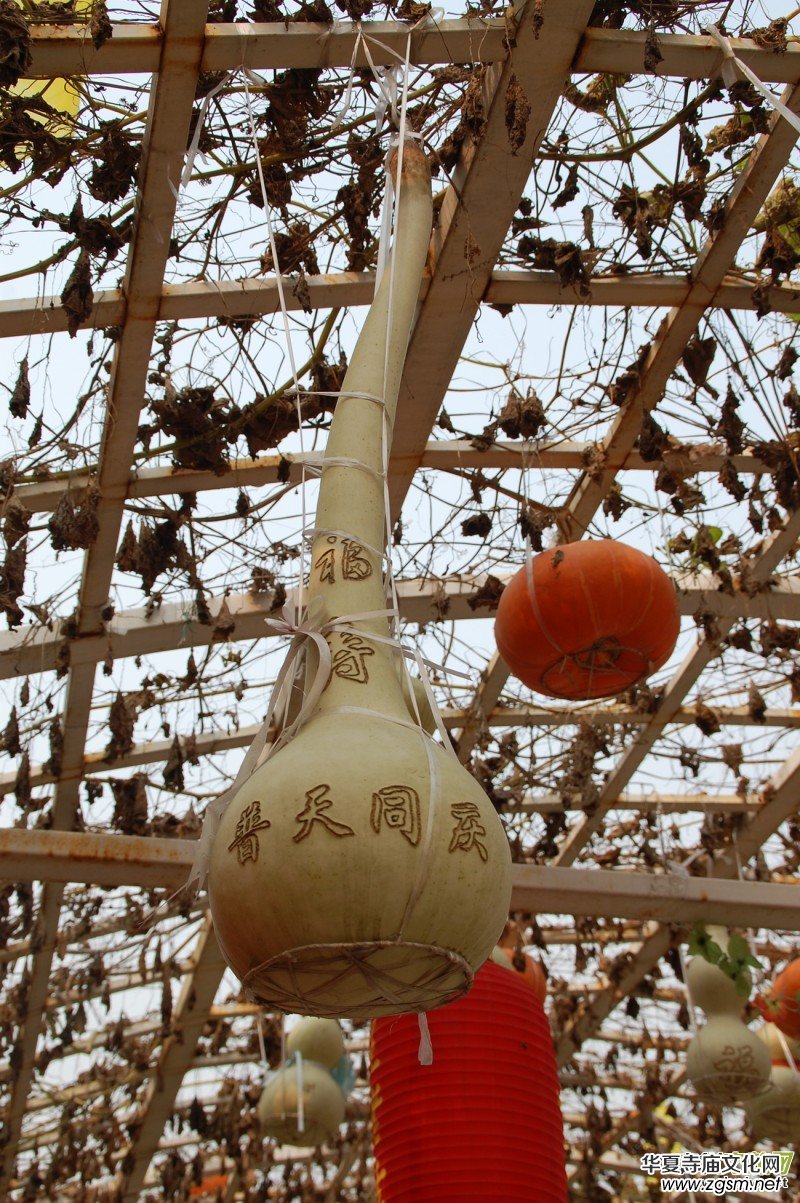 ������Ц�����zӰ��Ʒ�M�D