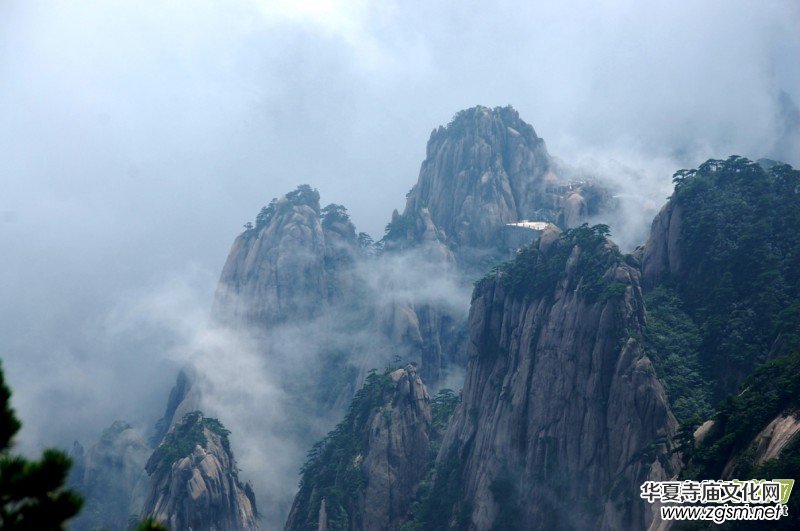 ������Ц�����zӰ��Ʒ�M�D