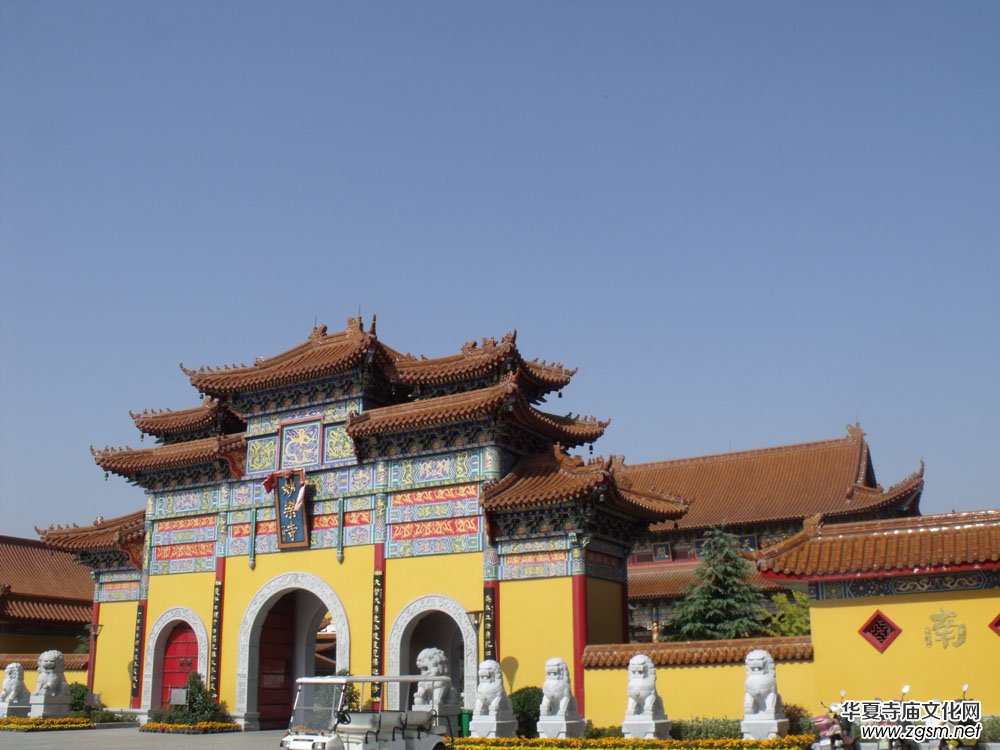 ҹ�����