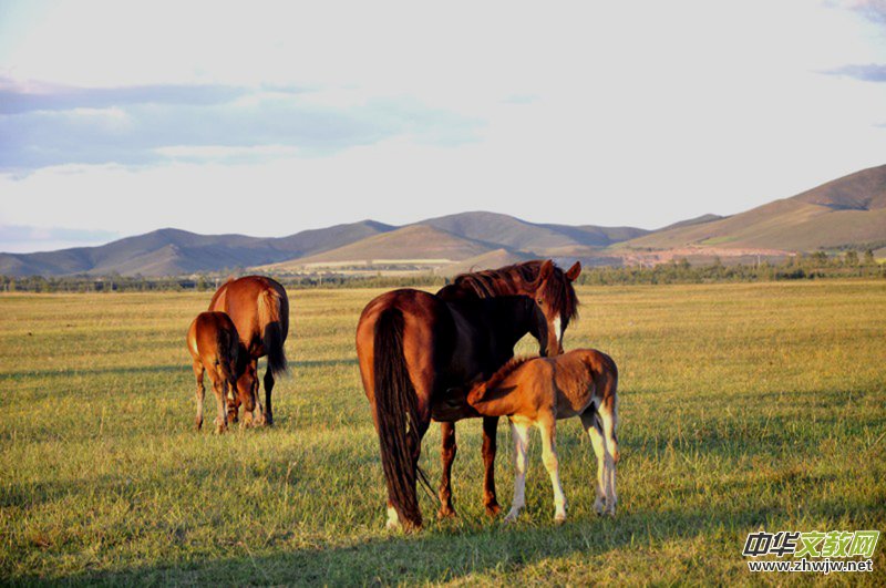 Ц���MԊ:ҹ�o�N���ҵ��ؿ�