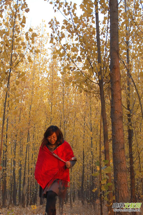 Ц���MԊ:ҹ�o�N���ҵ��ؿ�