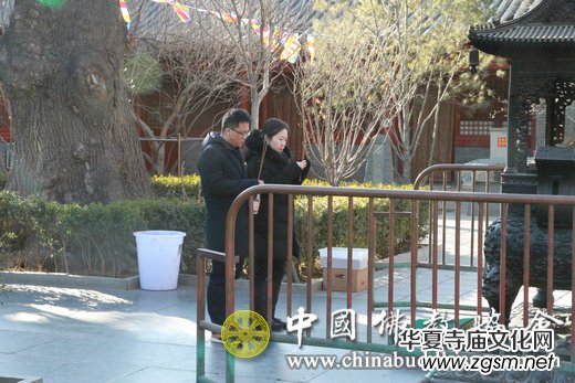 �����V���³���(d��o)�������� �����׶����B(t��i)�������O(sh��)