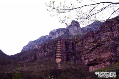  �ټ�?gu��)r������ТŮ�������������zӰ 