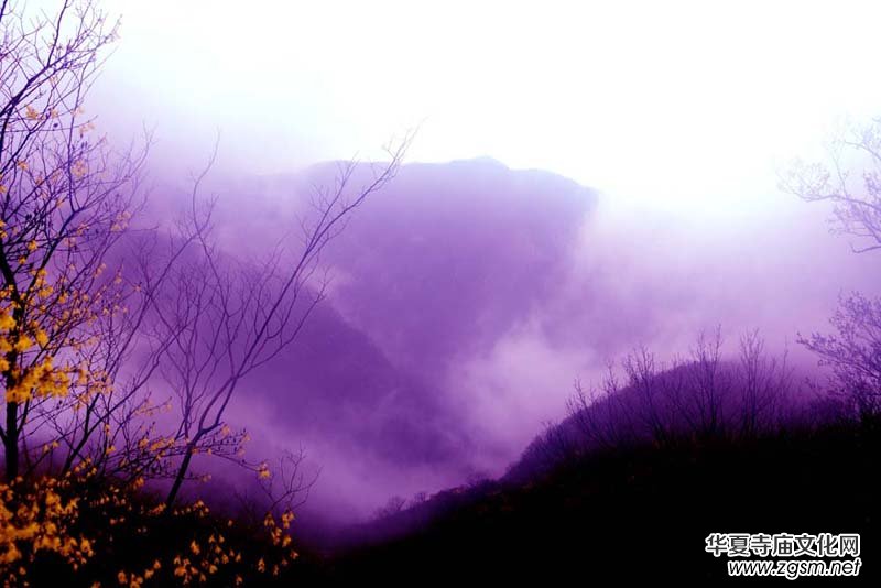 �gӭ��󡰡��Ї�Ԋ���zӰ���ء����T��λ������λ��