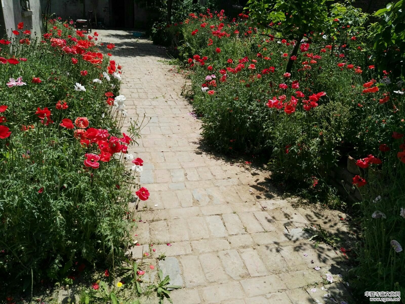 ĸ�H�����e���_�ҡ�����܊�ܘ�(sh��)�ό�����־