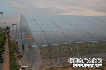 ����(zh��n)��ؚ��ĸ�H����