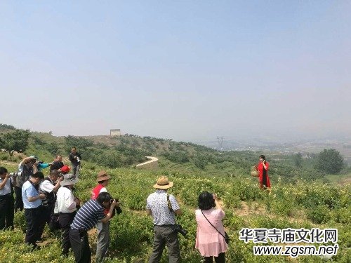 ���y���_(k��i)��������(gu��)�zӰ��Ʒ