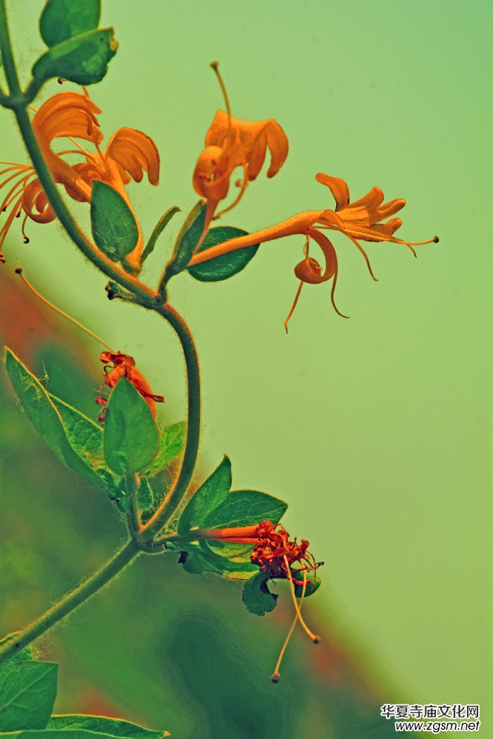 ���y���_(k��i)��������(gu��)�zӰ��Ʒ