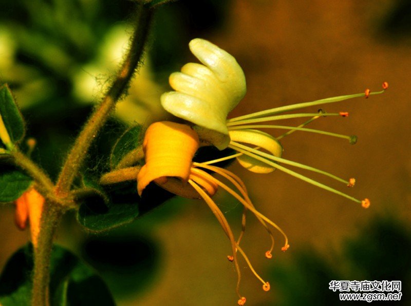 ���y���_(k��i)��������(gu��)�zӰ��Ʒ