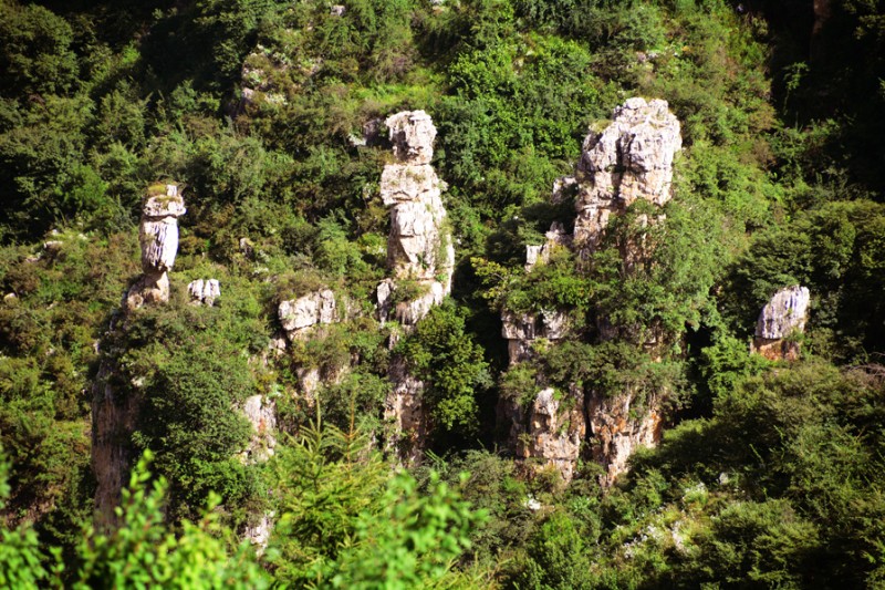 Ԋ(sh��)����ç�X�L(f��ng)��zӰ��������(gu��)��Ʒ