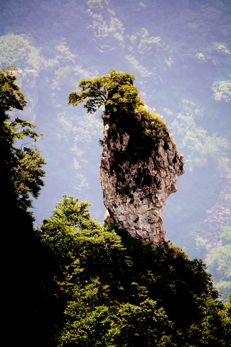 Ԋ(sh��)����ç�X�L(f��ng)��zӰ��������(gu��)��Ʒ