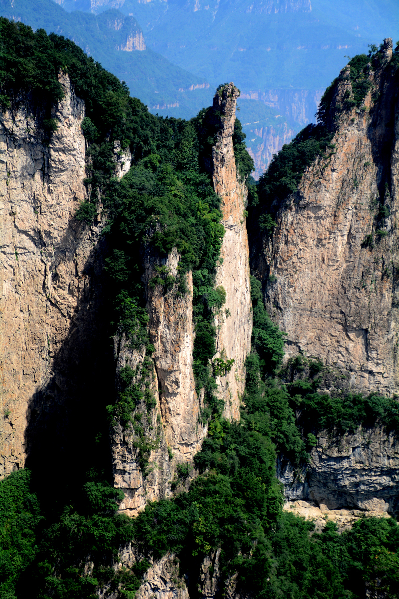 Ԋ(sh��)����ç�X�L(f��ng)��zӰ��������(gu��)��Ʒ