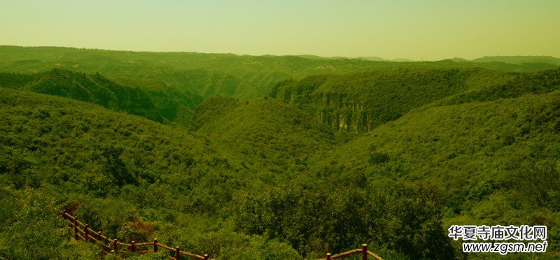 �����Ԋ���zӰ���桪��Ц��