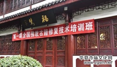 ��һ��ȫ����̹ż��ޏ�(f��)���g(sh��)��Ӗ(x��n)���ڳɶ�����Ժ�_��