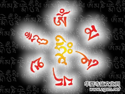 ꐓ�����˯�ɹ�