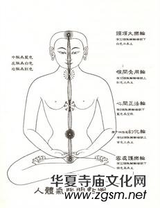 ����Ů�����ޟ�ȫ�׹��������]��