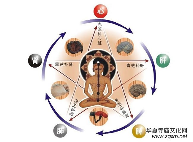 ���̹������衪���B(y��ng)�����Z