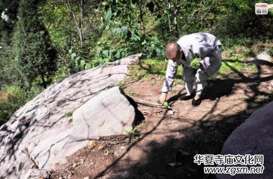 ��(sh��)�ĽK��ɽ��·�[ʿԽ��(l��i)Խ�� ɽ�?sh��)�̎���?�M�D)