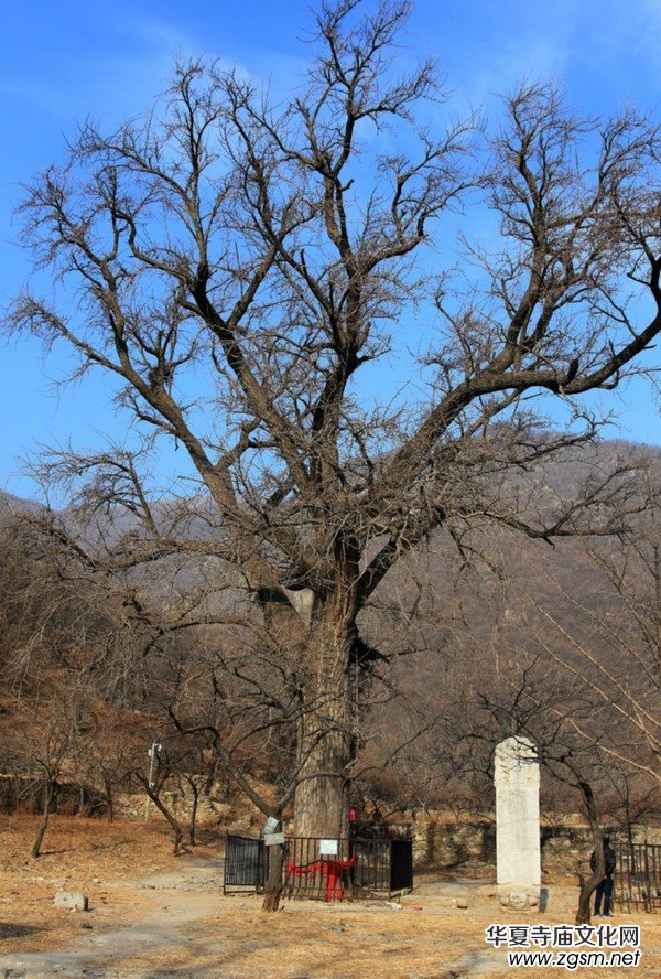 十字寺遺址 十字寺遺址