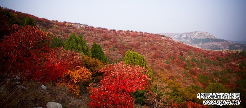 ����������ɽ���zӰ��ِ�_ʼ�ˡ���