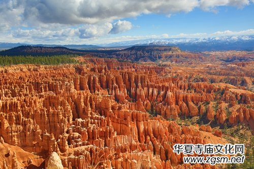 ���α؂�����˲�g��������(j��ng)�侀·�����w����{������