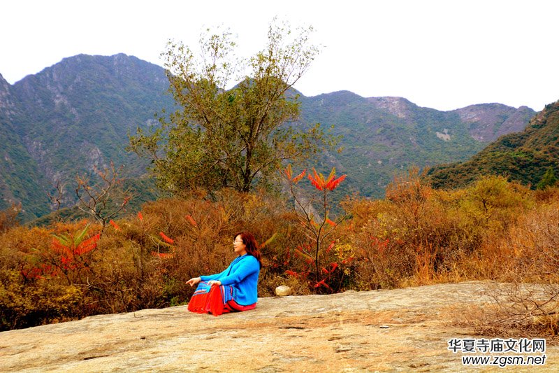 ��������ɽ�zӰ��(xi��)�桪������(gu��)�zӰ��Ʒ