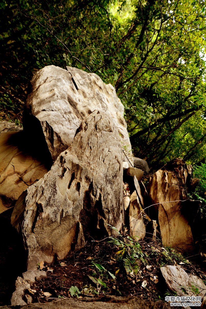 ��������ɽ�zӰ��(xi��)�桪������(gu��)�zӰ��Ʒ