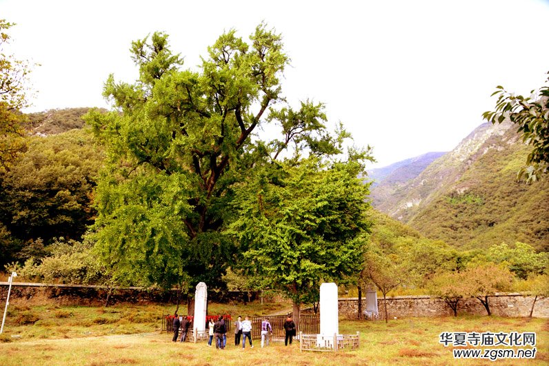 ��������ɽ�zӰ��(xi��)�桪������(gu��)�zӰ��Ʒ