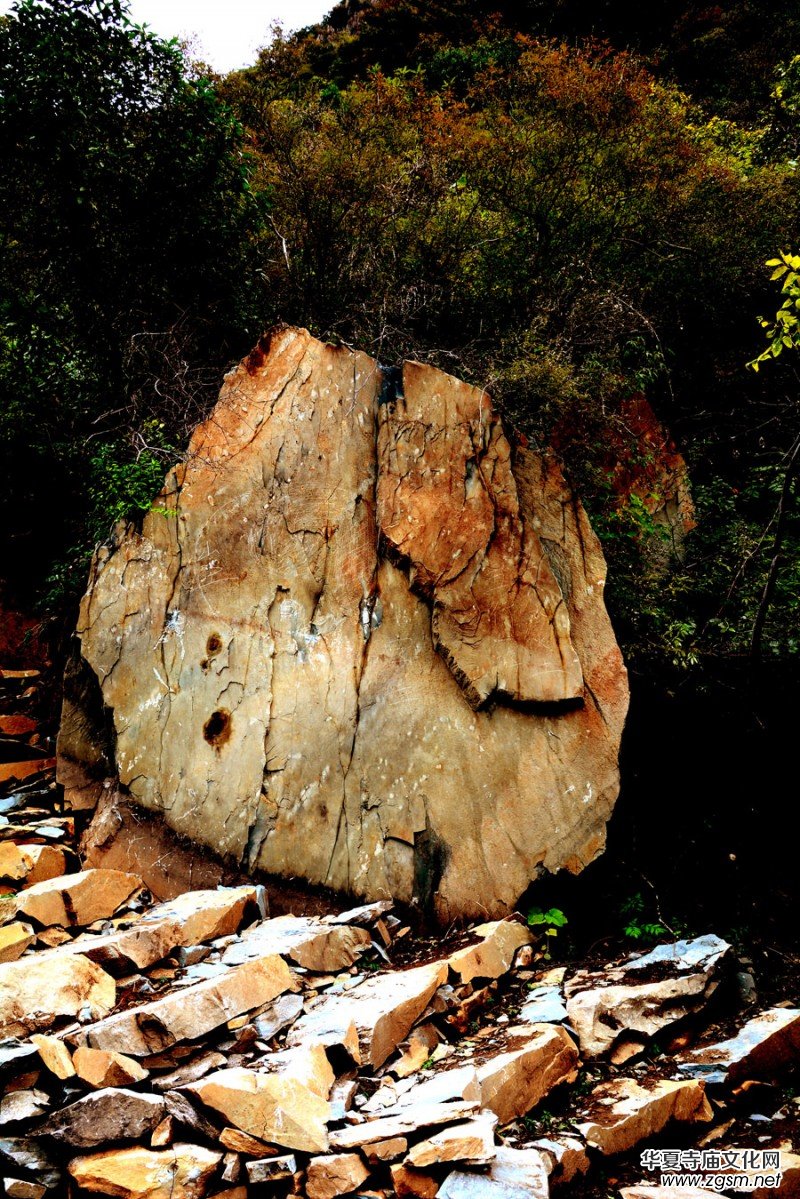 ��������ɽ�zӰ��(xi��)�桪������(gu��)�zӰ��Ʒ