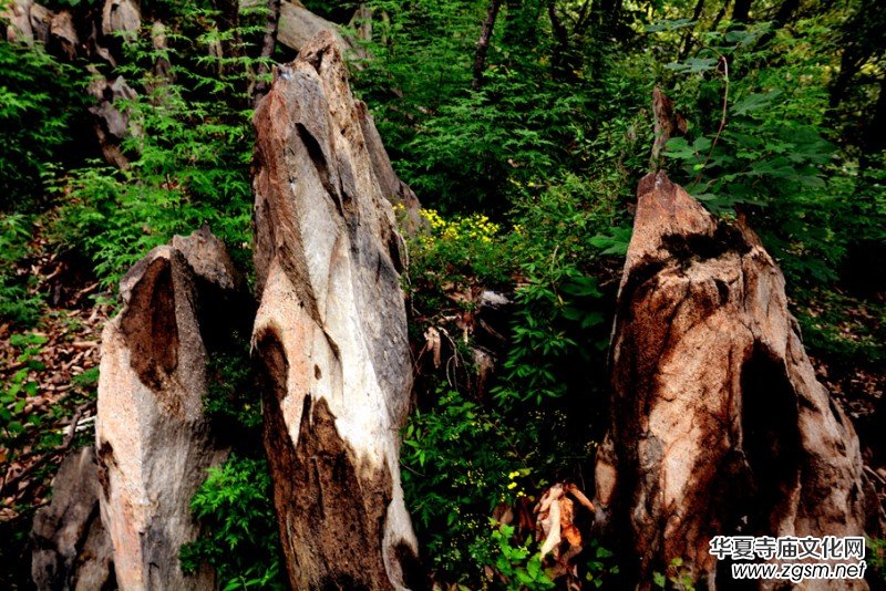 ��������ɽ�zӰ��(xi��)�桪������(gu��)�zӰ��Ʒ